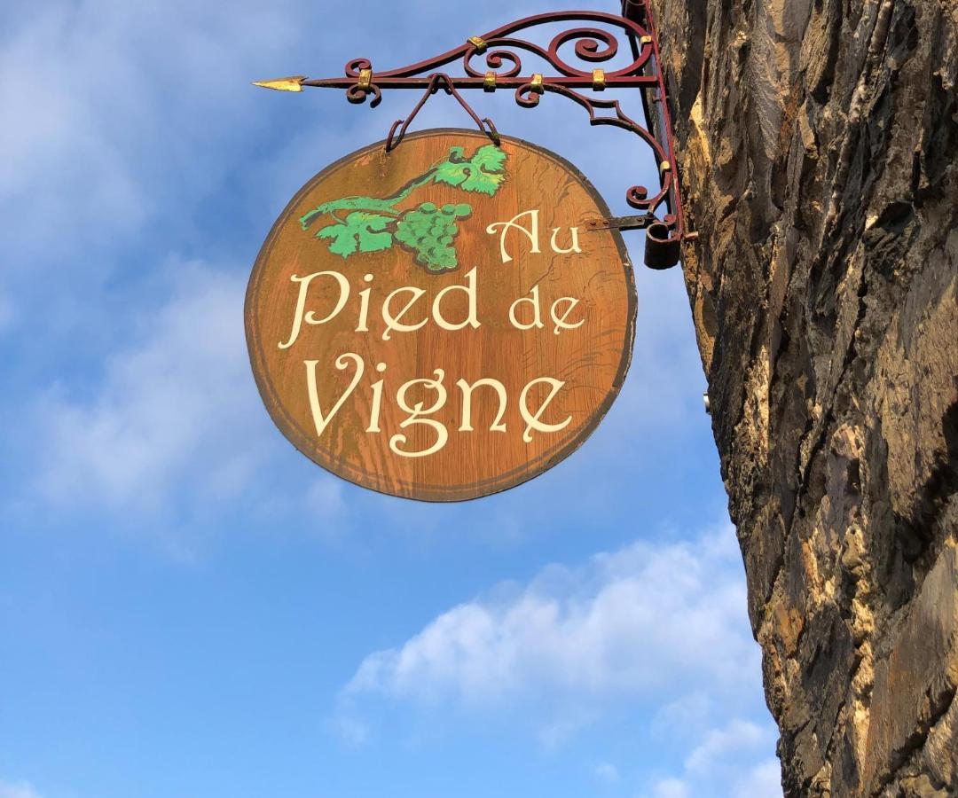 Appart Hotel Au Pied De Vigne Vresse-sur-Semois Exteriér fotografie